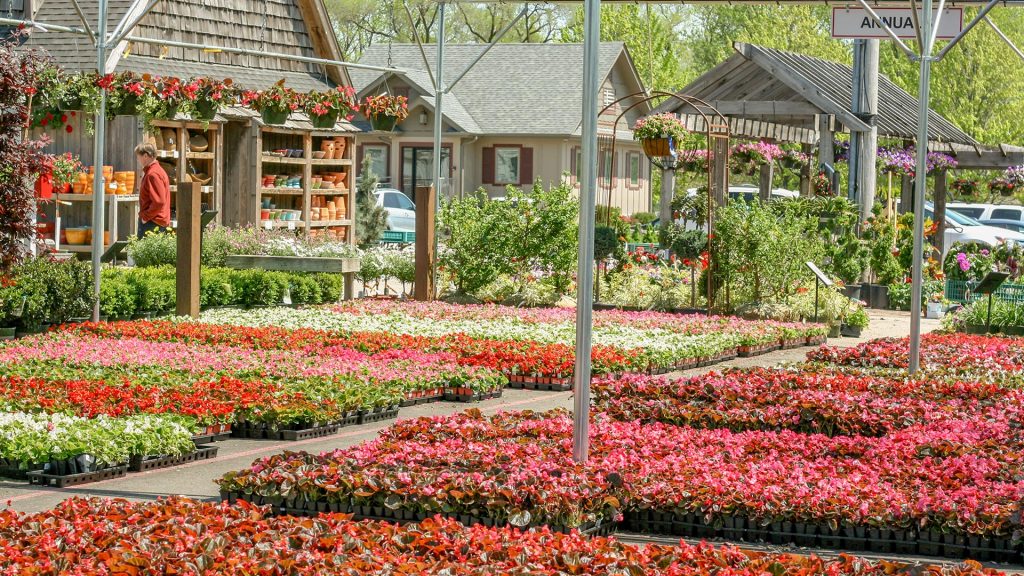 Retail Availabilities Hinsdale Nurseries to Hinsdale Nurseries