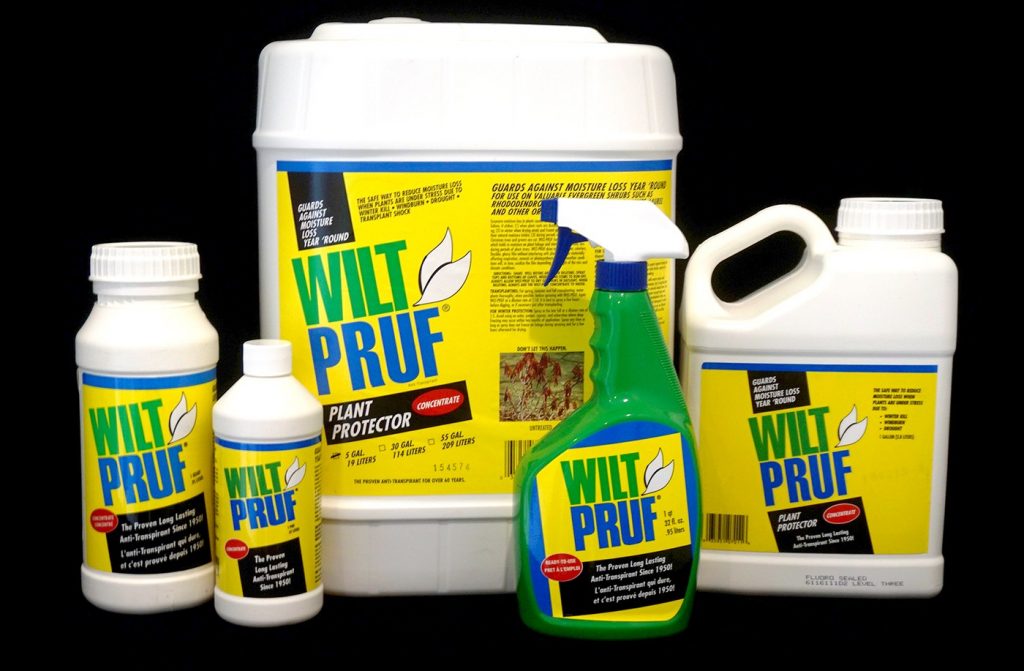 Read more about the article Use WILT-PRUF® for Winter Burn