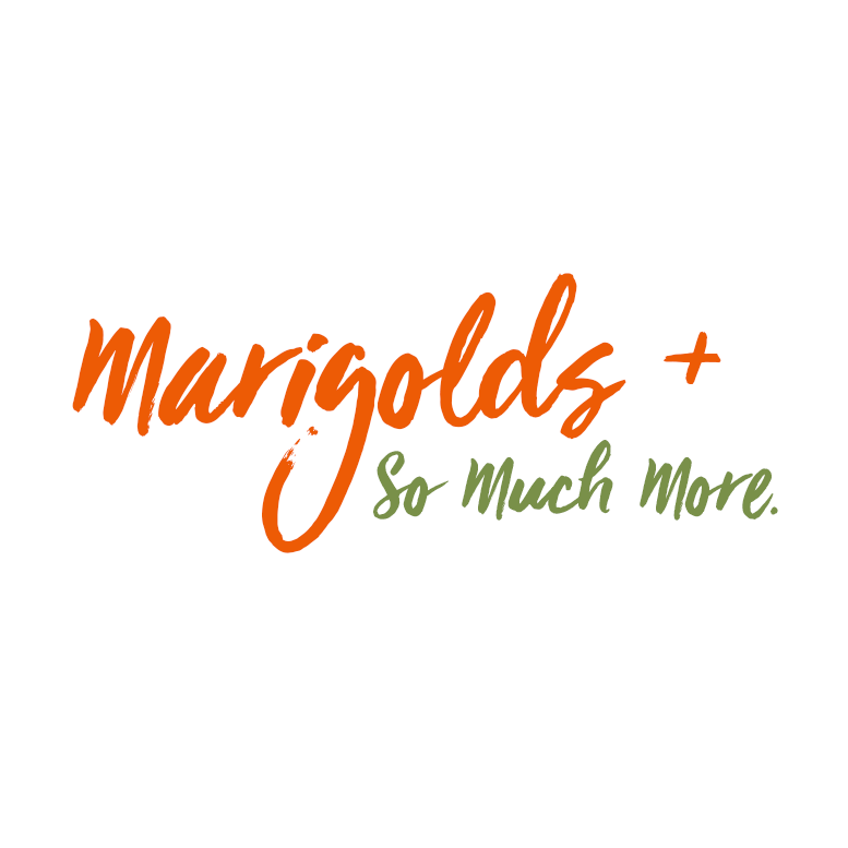 Read more about the article Marigolds + So Much More.