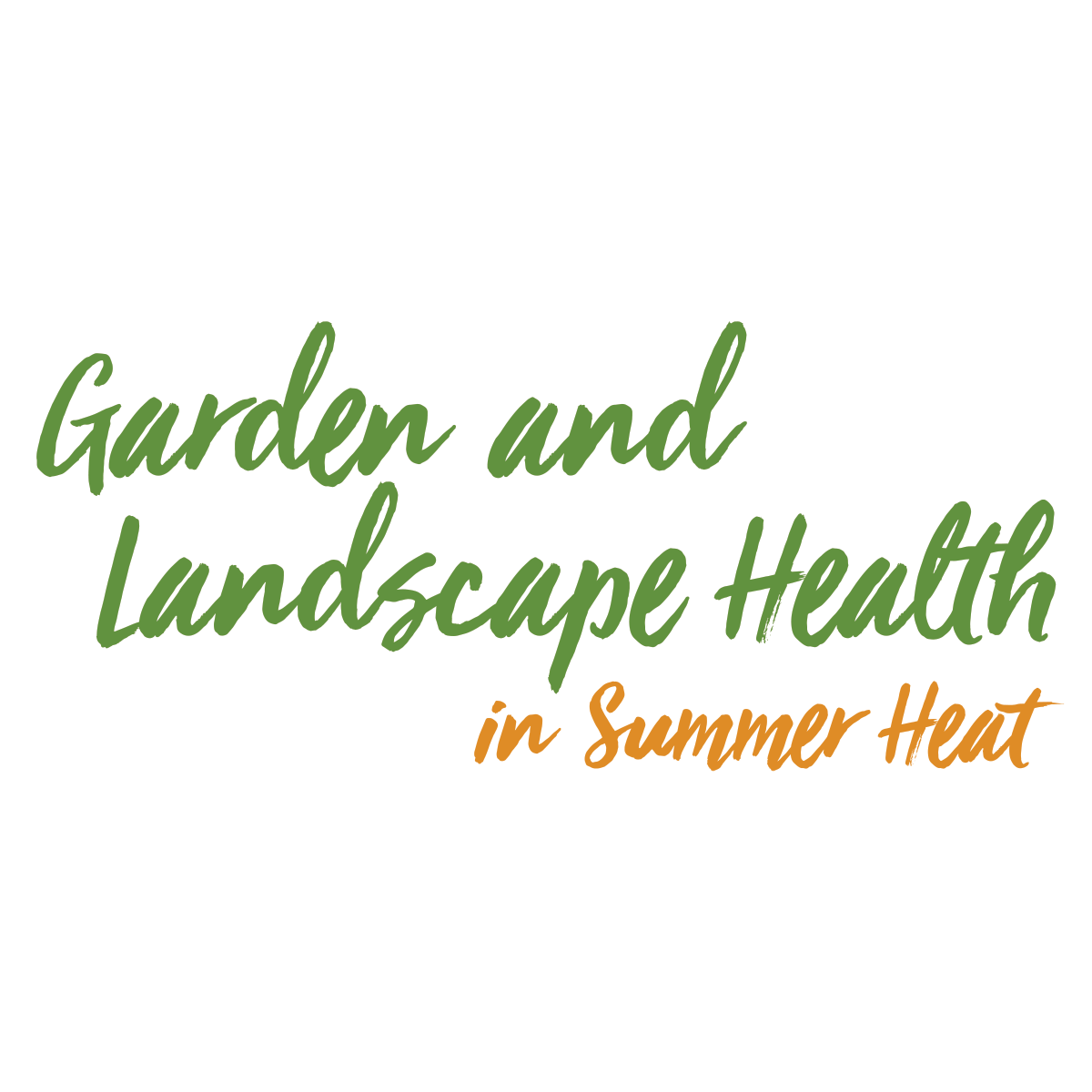 Read more about the article Garden and Landscape Health in Summer Heat
