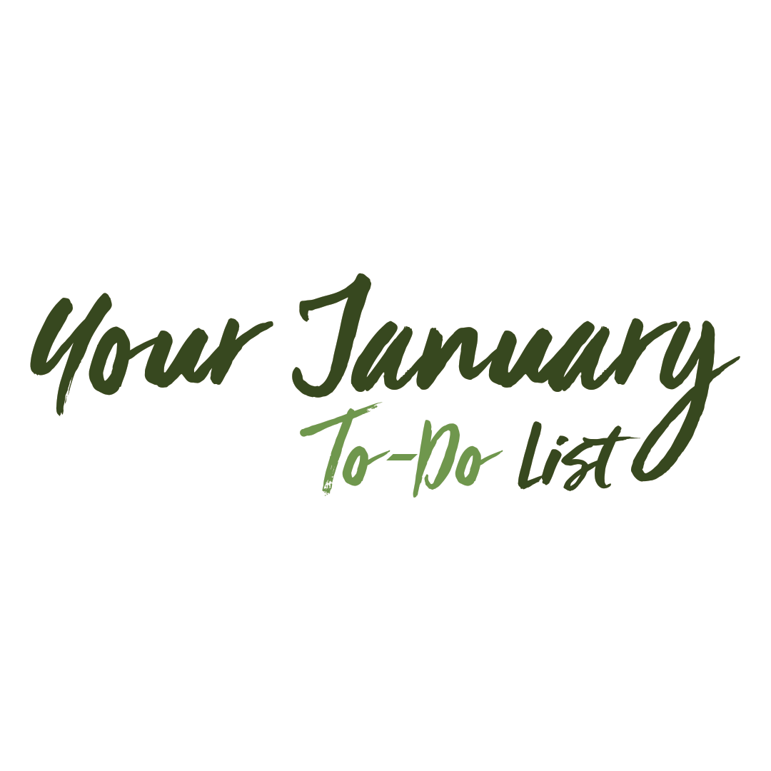 Read more about the article Your January To-Do List