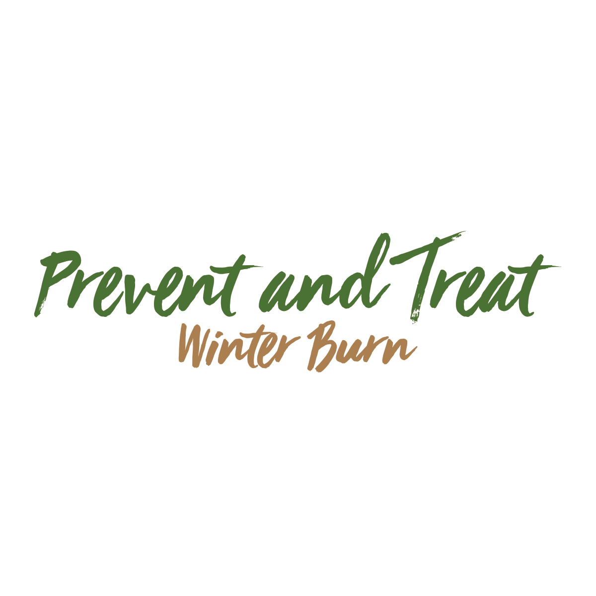 Read more about the article Prevent and Treat Winter Burn