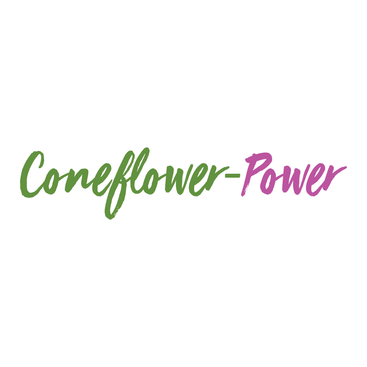 Read more about the article Coneflower-Power