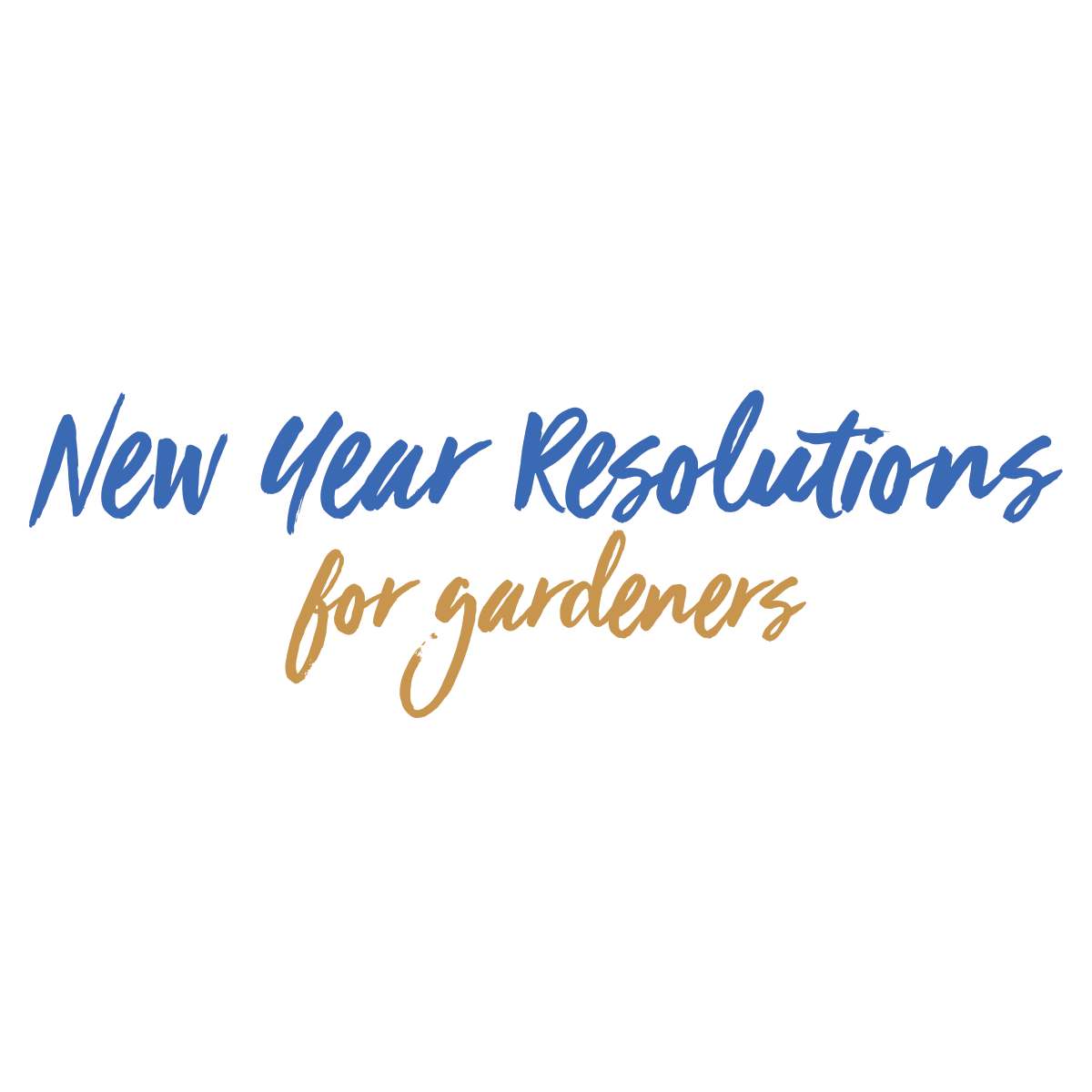 Read more about the article New Year’s Resolutions for Gardeners