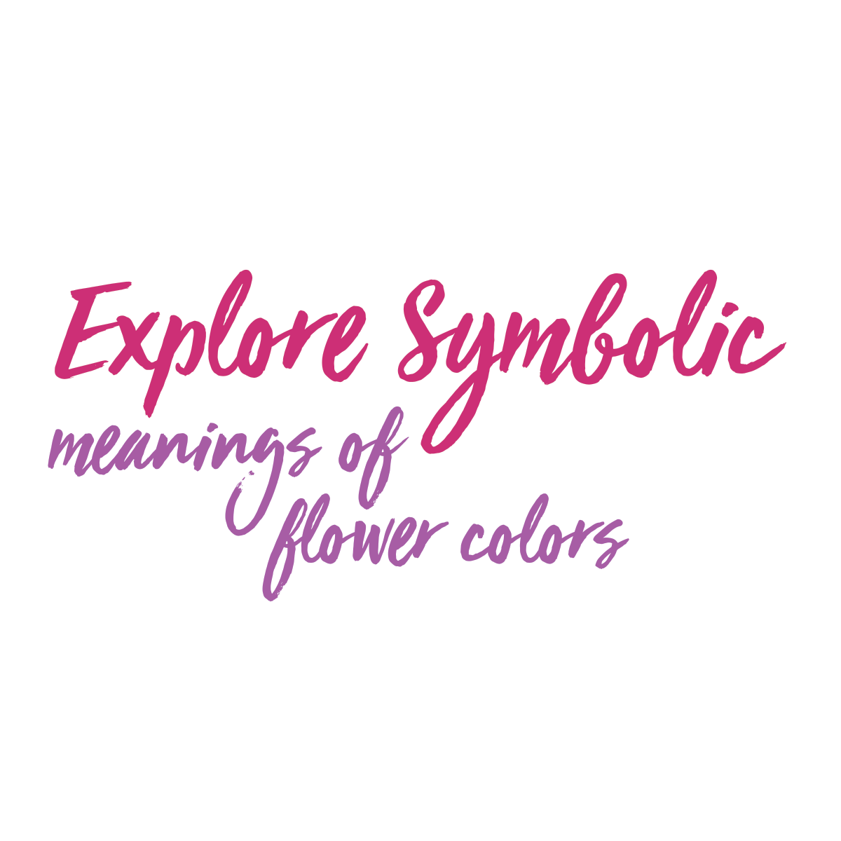 Read more about the article Explore Symbolic Meanings of Flower Colors