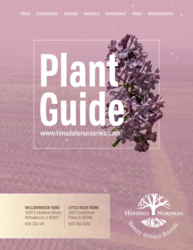 Plant Guide Hinsdale Nurseries to Hinsdale Nurseries