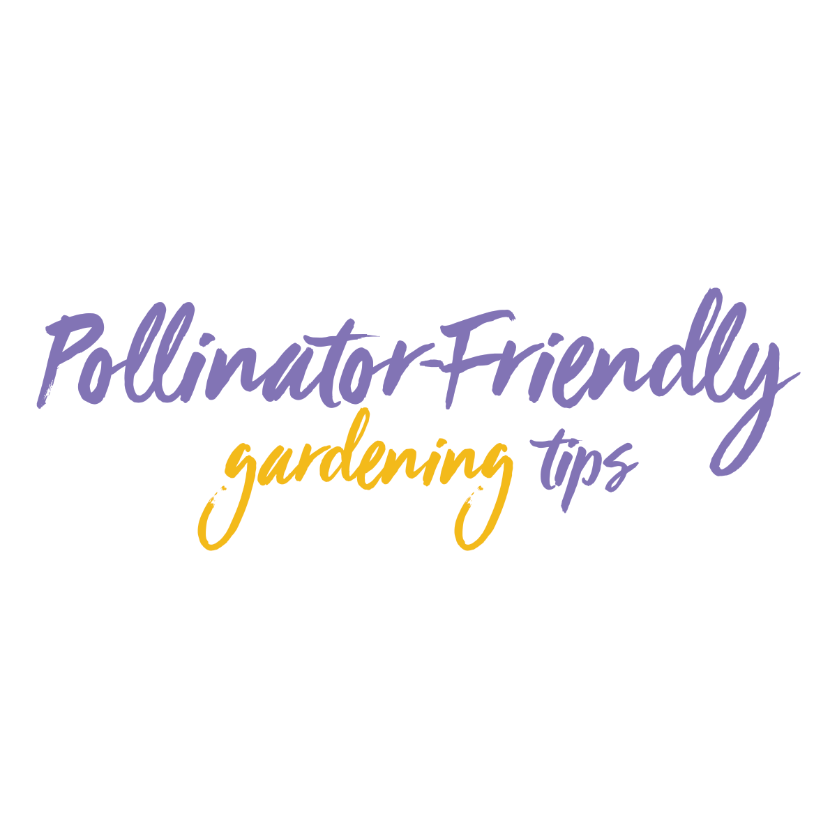 Read more about the article Creating a Buzz: Pollinator-Friendly Gardening Tips