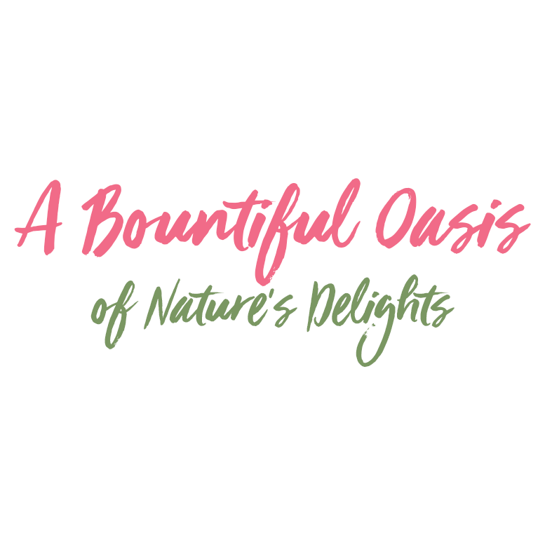 Read more about the article A Bountiful Oasis of Nature’s Delights