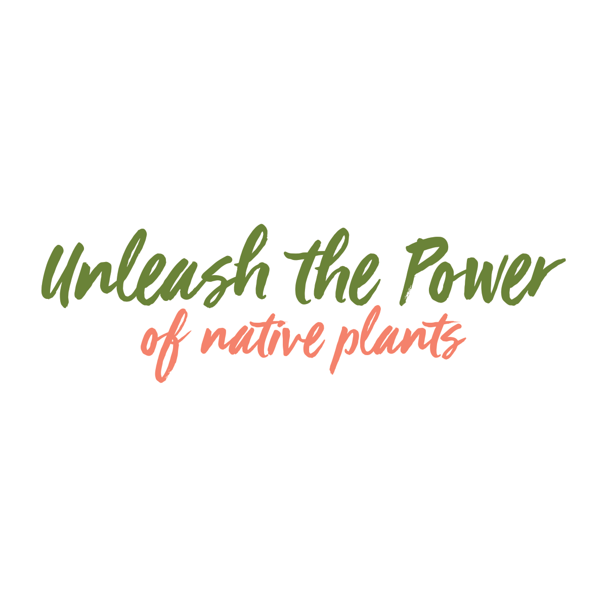 You are currently viewing Unleash the Power of Native Plants