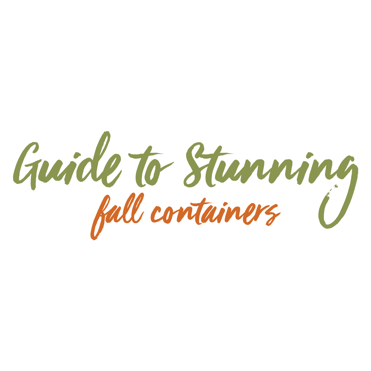 Read more about the article Hinsdale Nurseries’ Guide to Stunning Fall Containers