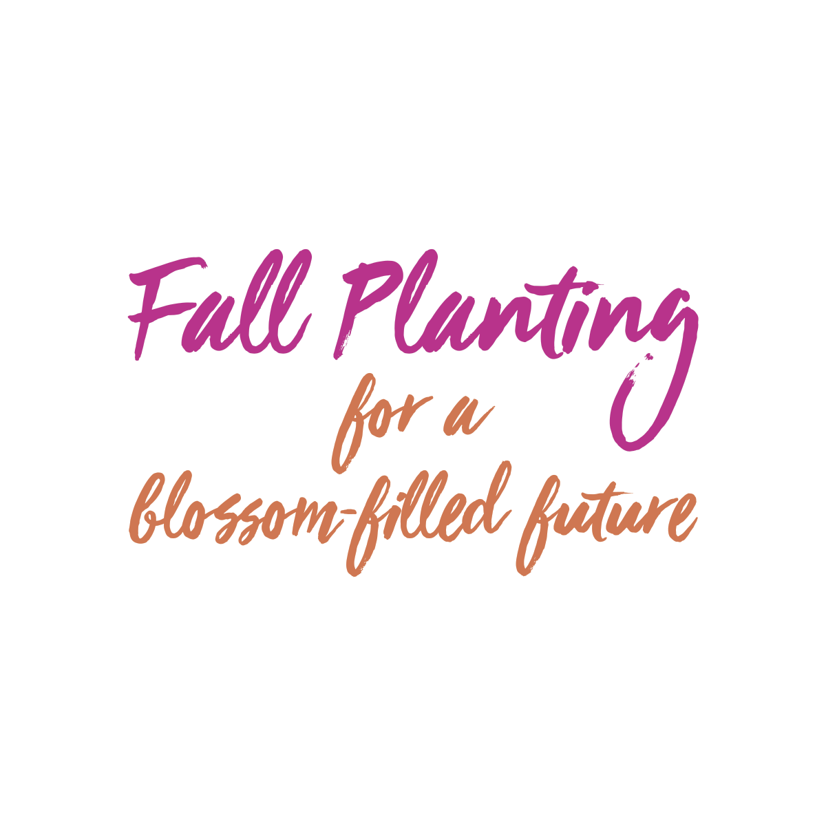 Read more about the article Fall Planting for a Blossom-Filled Future