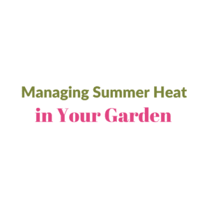 Hinsdale Nurseries – Welcome to Hinsdale Nurseries – Welcome to ...
