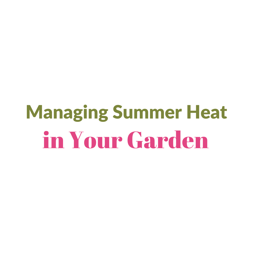 Managing Summer Heat In Your Garden