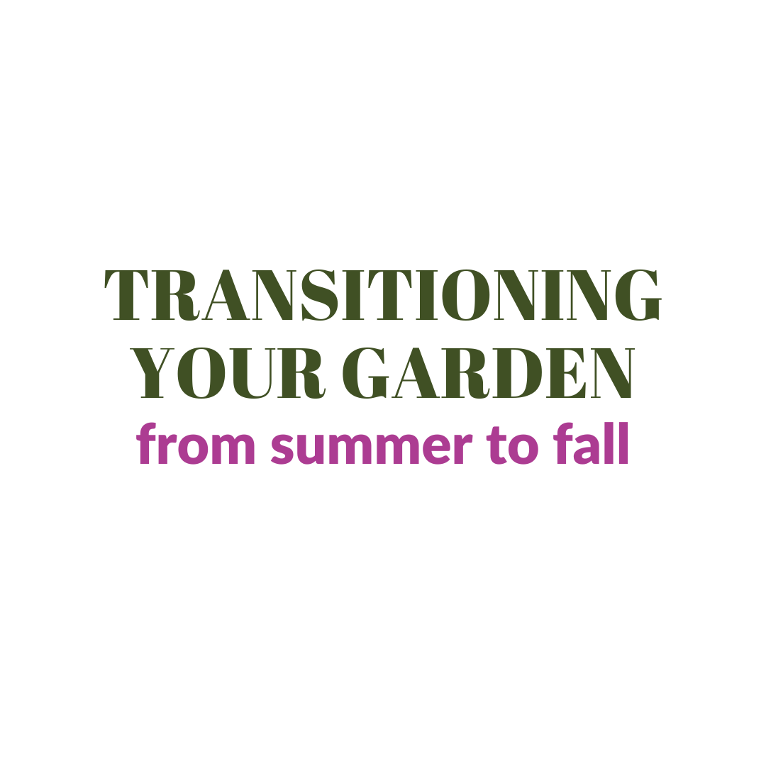 Transitioning Your Garden From Summer To Fall