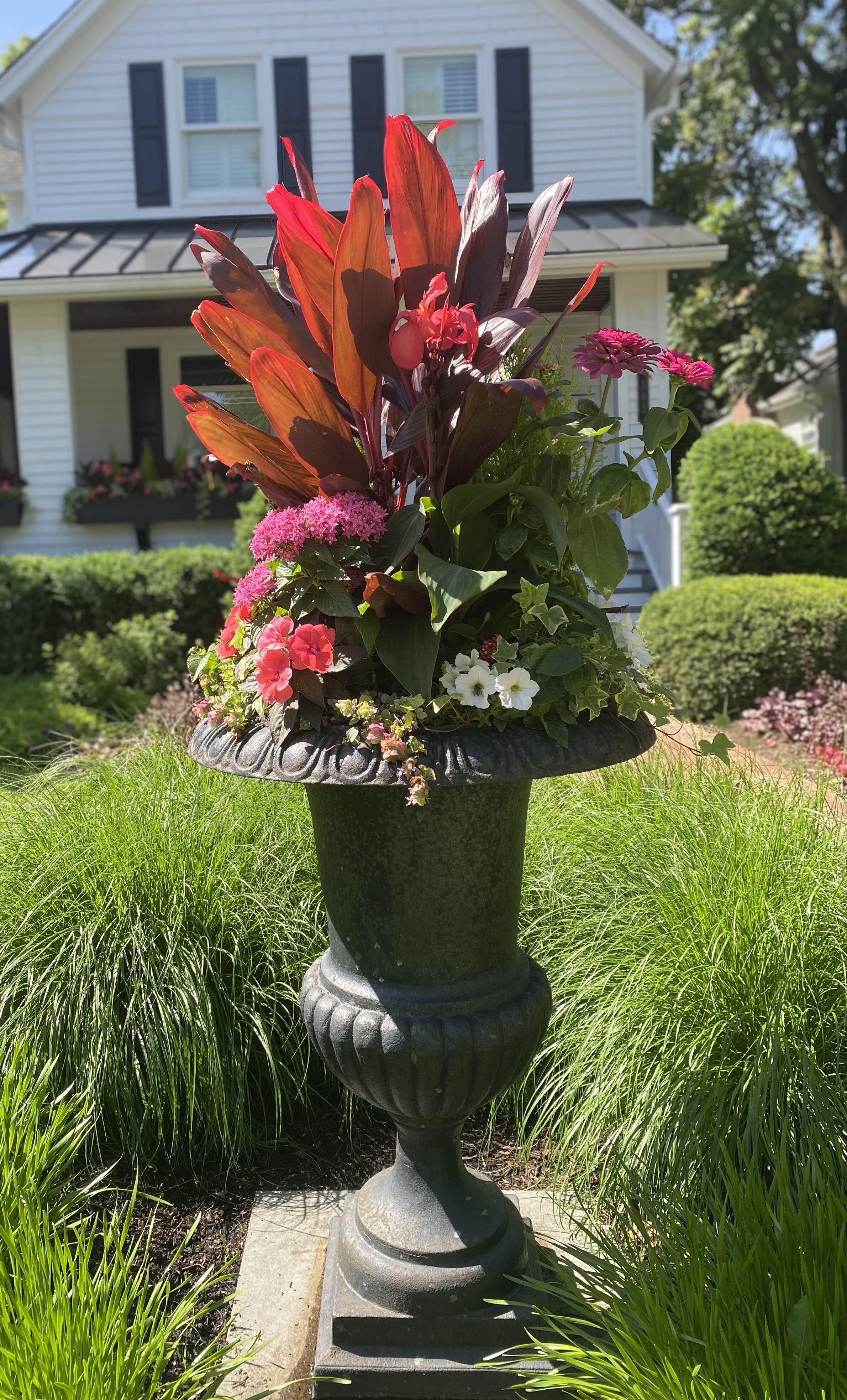Custom Potted & Container Arrangements