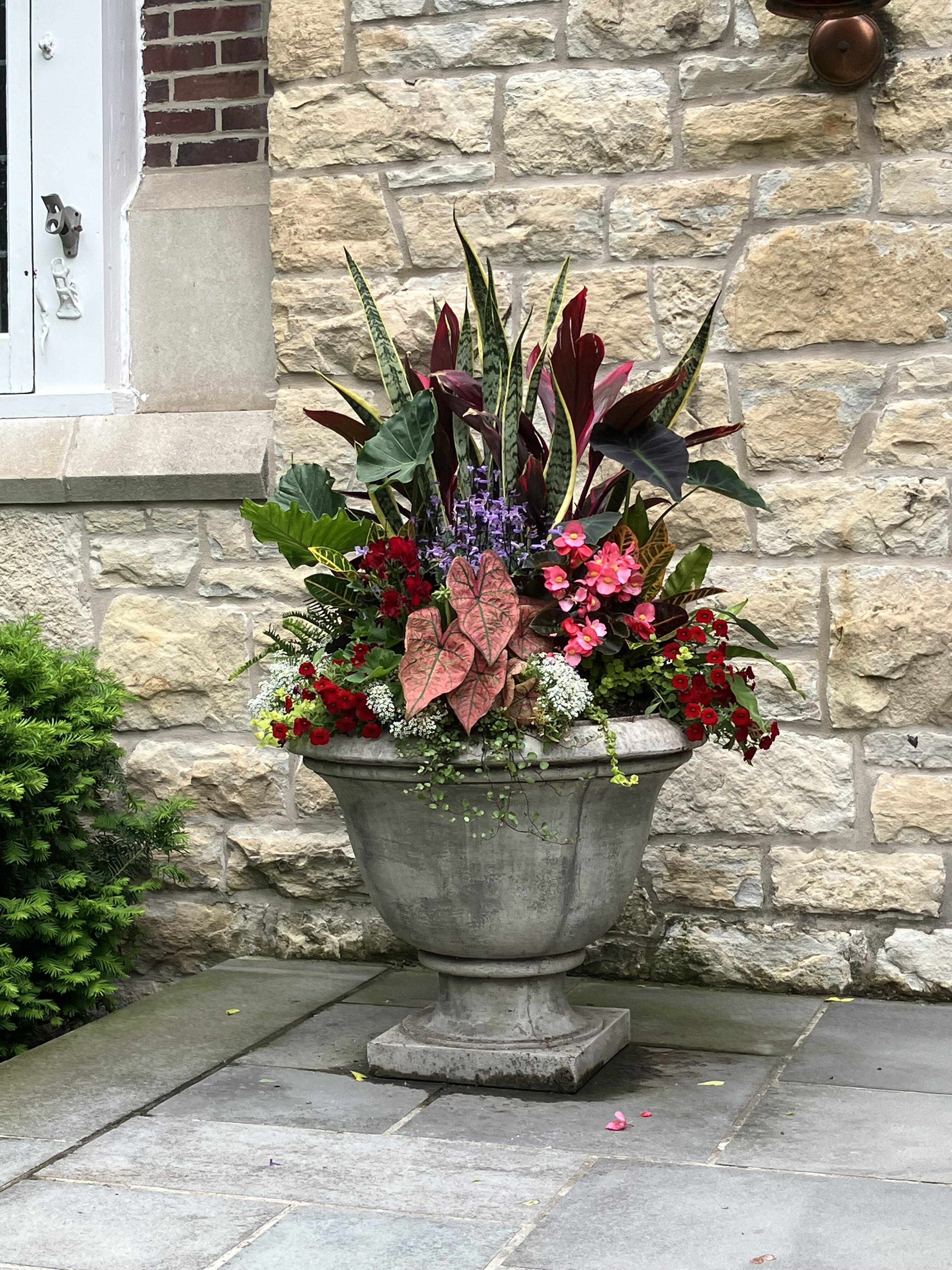 Summer Container