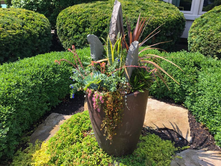 Container Gardening
