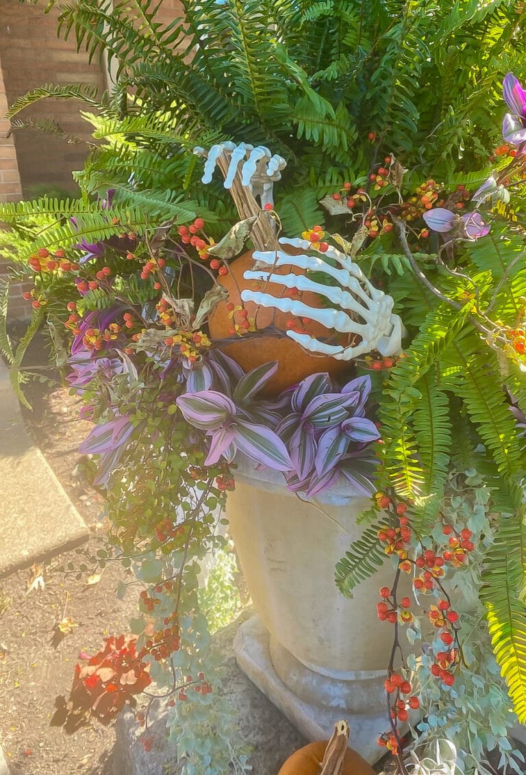 Fall Container Gardening