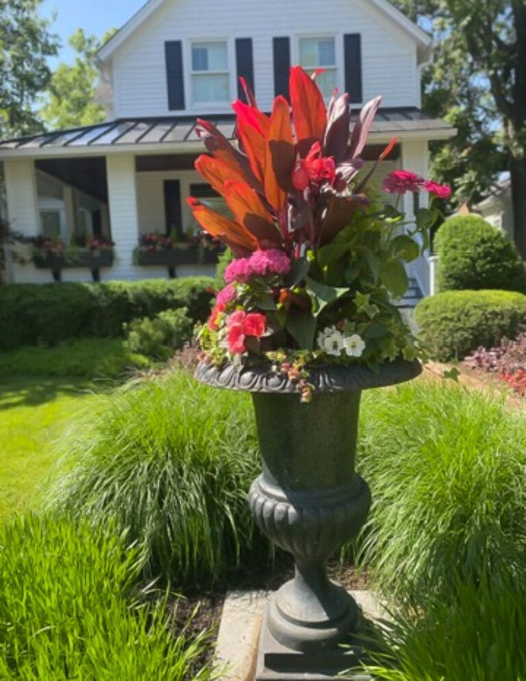 Summer Container