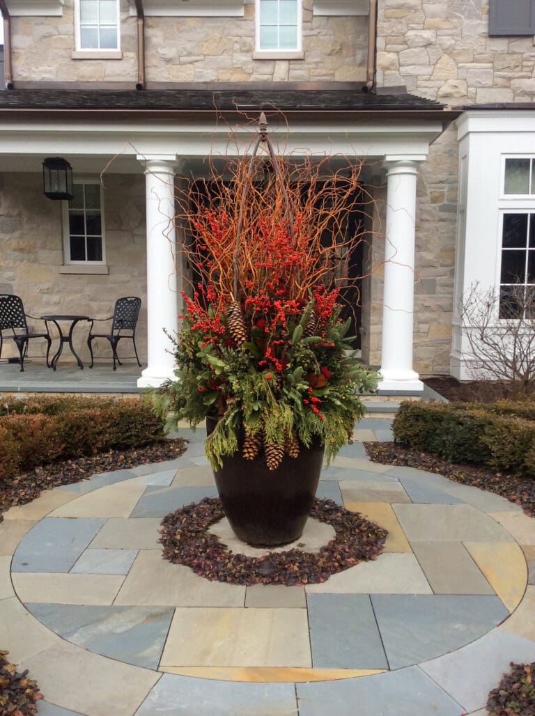 Winter Container Gardening