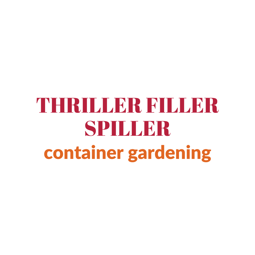 The Thriller, Filler, Spiller Method: How To Design A Beautiful Container Garden