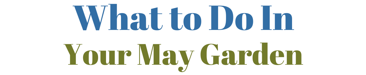 What To Do In Your Garden In May (zone 6a Guide)