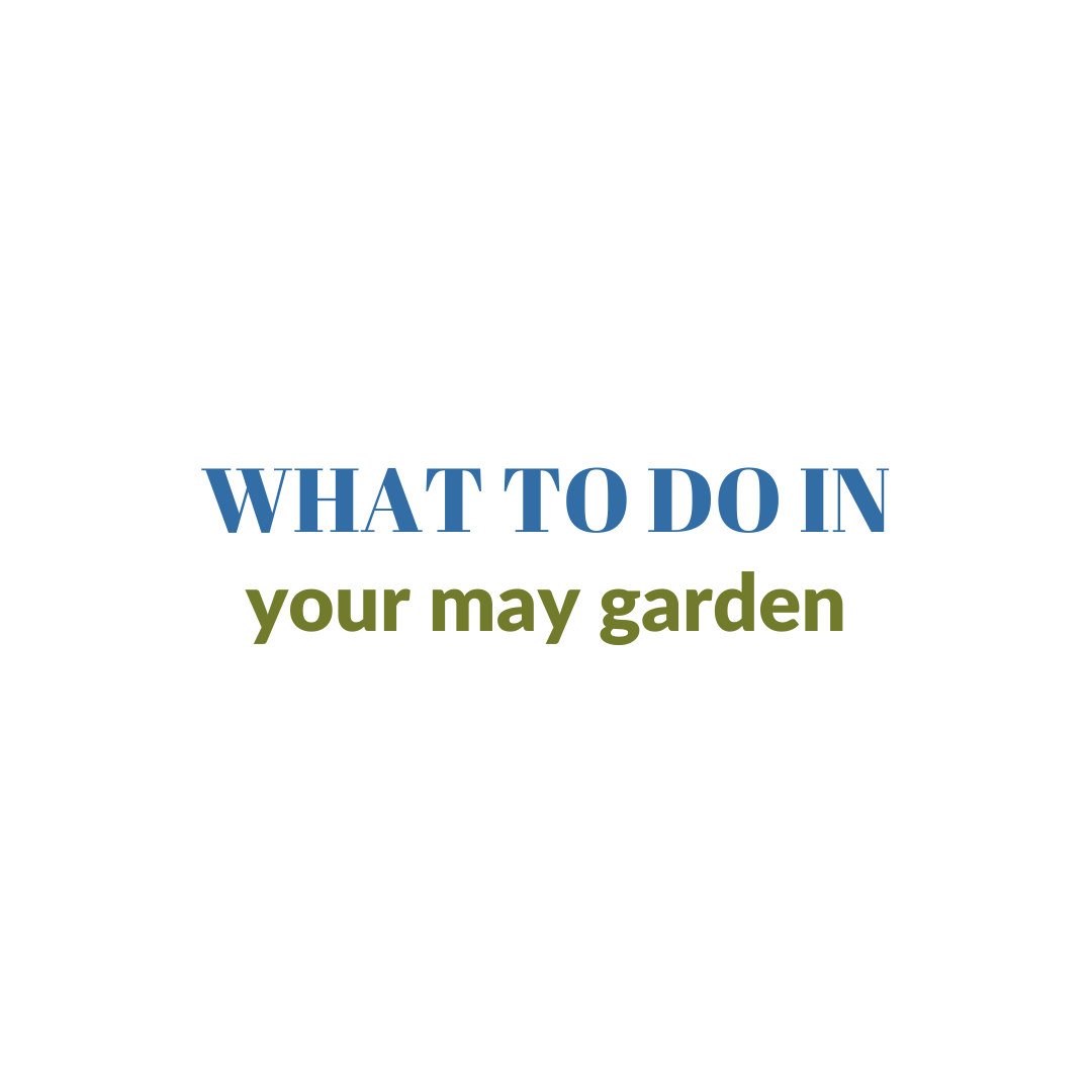 What To Do In Your Garden In May (zone 6a Guide)