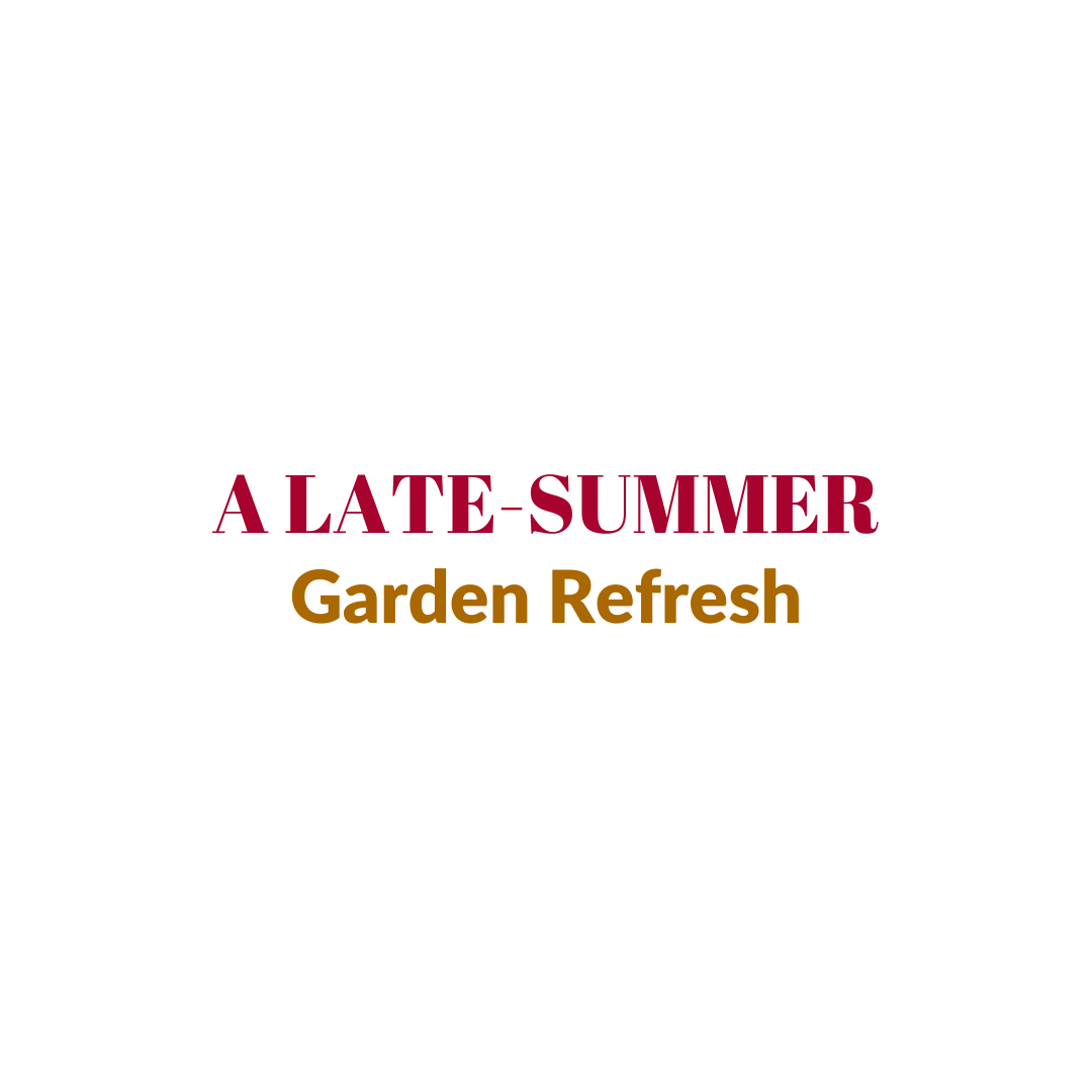 Read more about the article A Late-Summer Garden Refresh
