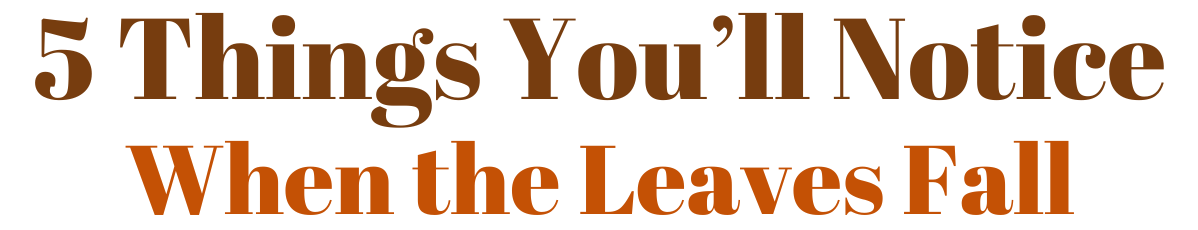 Fall Hn Email Blog Header